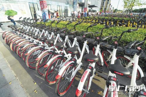 昨日下午，在開福區(qū)萬達(dá)廣場，成片的共享單車停放在廣場前坪。 長沙晚報(bào)記者 黃啟晴 攝