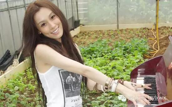 明星旅行糗事一籮筐 總有一個(gè)萌到你！