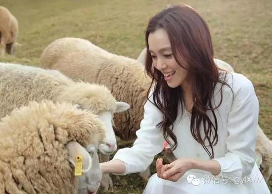 明星旅行糗事一籮筐 總有一個(gè)萌到你！