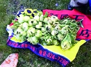 網(wǎng)曝驢友盜挖天山雪蓮 連根拔起擺拍炫耀 網(wǎng)曝驢友盜挖天山雪蓮 連根拔起擺拍炫耀