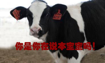 關(guān)我什么事！