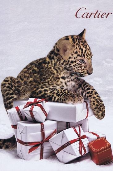 是不是覺得是一個(gè)系列