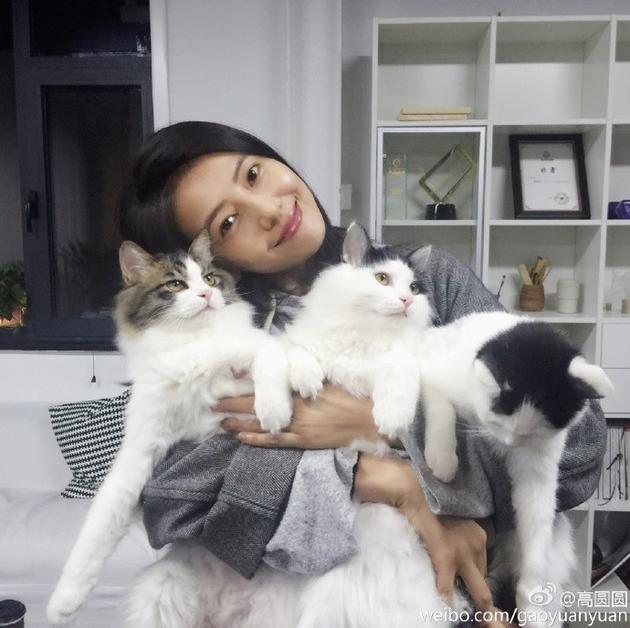 高圓圓發(fā)文疑似懷孕 高圓圓發(fā)文疑似懷孕
