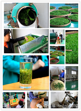 制茶的工藝真地道，仿佛聞到了茶香