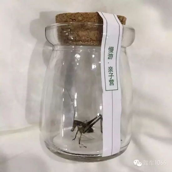 看看我的成果吧！