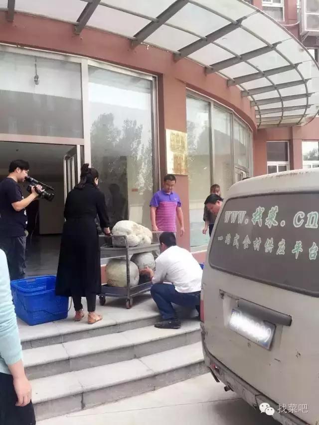 找菜網(wǎng)認(rèn)購(gòu)百萬(wàn)斤冬瓜，解農(nóng)戶(hù)燃眉之急