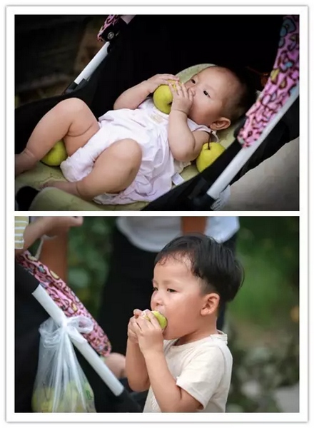 純天然無(wú)公害，新鮮采摘，直接入口！