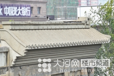 鄭州花園路“飛機(jī)樓”也要拆？去留引發(fā)關(guān)注