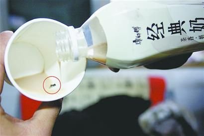 田先生喝的經(jīng)典奶茶中有一只蒼蠅。