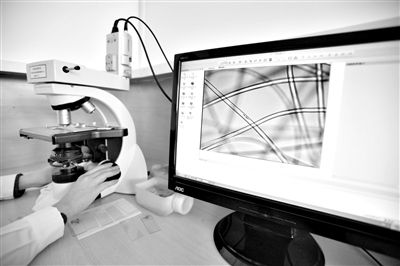 顯微鏡下，聚酯纖維很光亮，表面有斑點(diǎn)，粗細(xì)非常均勻。
