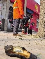 老漢右腿燒傷，樹下扔了一只燒焦的鞋