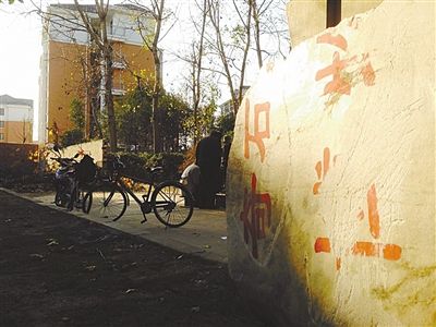 昨日，“上海奇石盆景博物館”原址上，已矗立起小區(qū)樓盤，而刻著博物館名的巨石，廢棄在一旁。本版圖片/新京報(bào)記者 張永生 攝