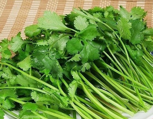 微博票選“最討厭吃的菜” 香菜近萬票當選 微博票選“最討厭吃的菜” 香菜近萬票當選