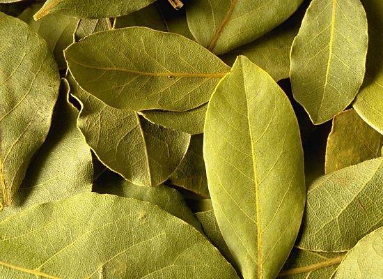 你知道廚房里常見調(diào)料的用法嗎？