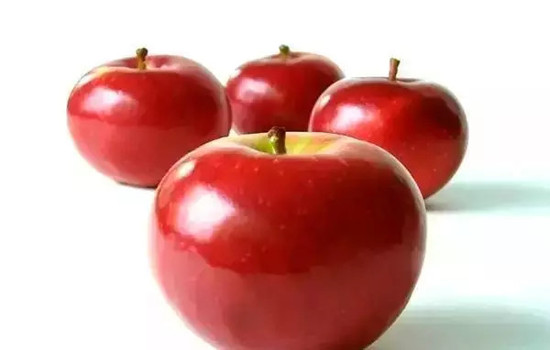 小心有毒！各種蔬果不能吃的部分