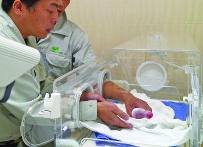 大陸贈臺大熊貓“圓圓”誕下第一胎 大陸贈臺大熊貓“圓圓”誕下第一胎