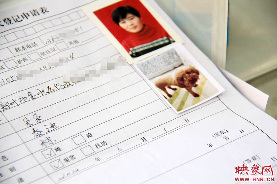 辦理狗證，需要填寫申請(qǐng)表