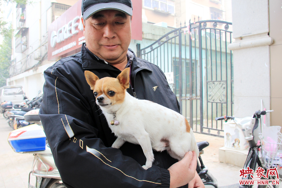 在市民眼里，小狗狗都是他們的小寶貝