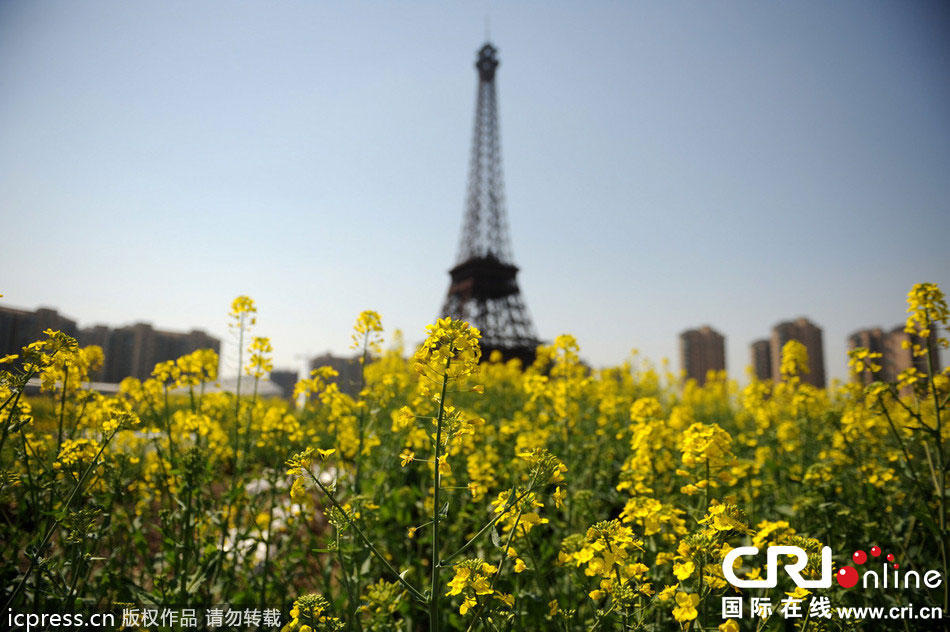 　2014年3月21日，杭州天都城，農(nóng)民在山寨埃菲爾鐵塔下耕作。圖片來源：東方IC