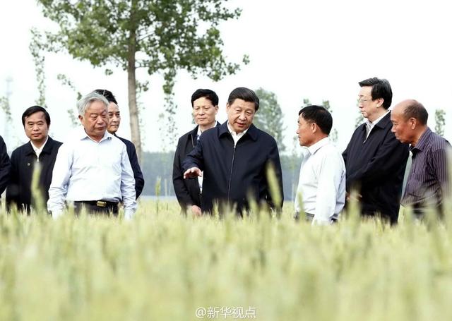 習近平走進糧田,看麥穗灌漿,問農(nóng)田建設。
