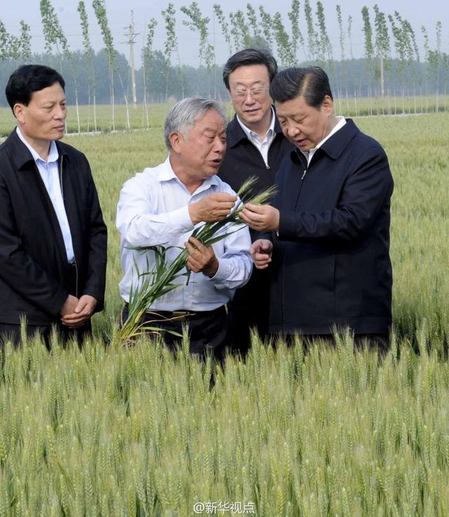習近平走進糧田,看麥穗灌漿,問農(nóng)田建設。