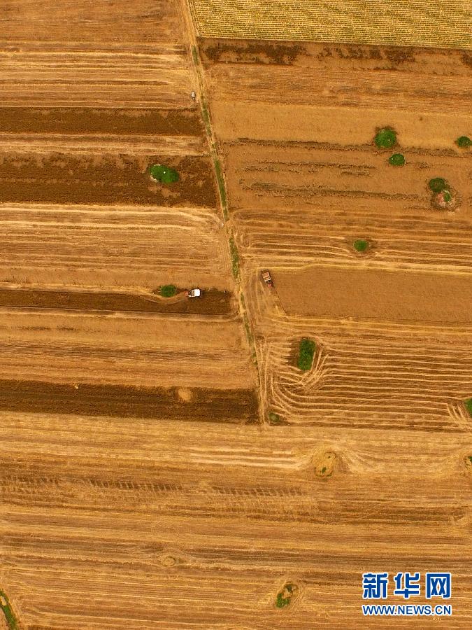 這是5月28日在河南省南陽市唐河縣甘河灣村航拍的麥收現場。
