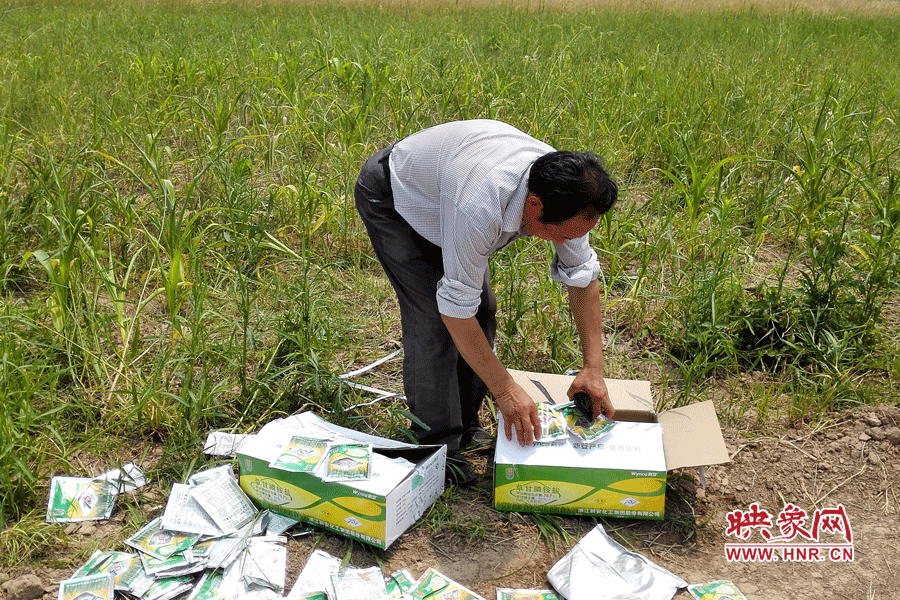 村民察看摧毀玉米的農(nóng)藥。