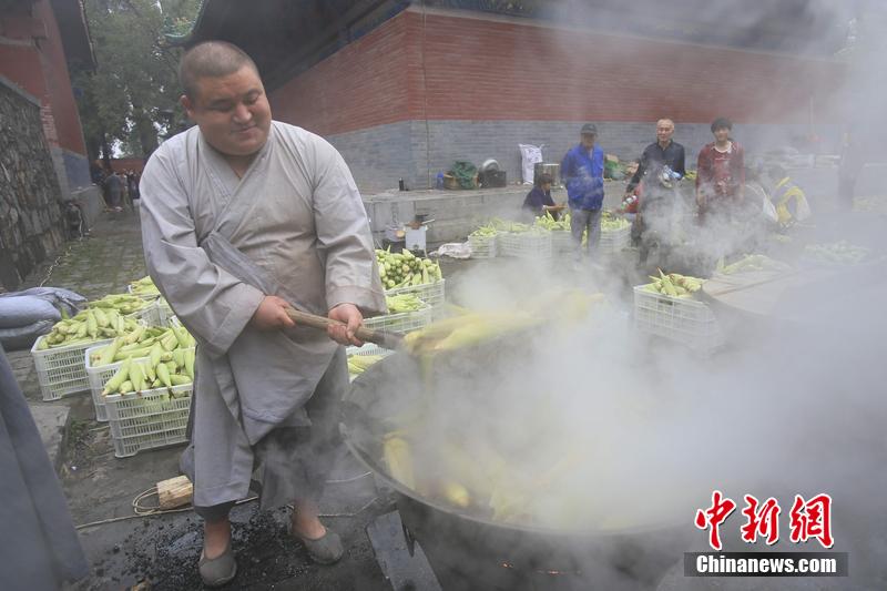 少林禪耕農(nóng)場迎來秋收 免費(fèi)煮玉米送游客 少林禪耕農(nóng)場迎來秋收 免費(fèi)煮玉米送游客