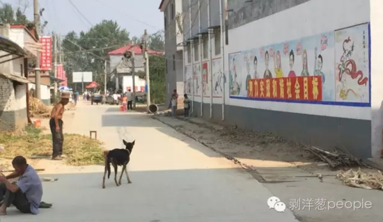 孫莊村一角。新京報(bào)記者安鐘汝 攝