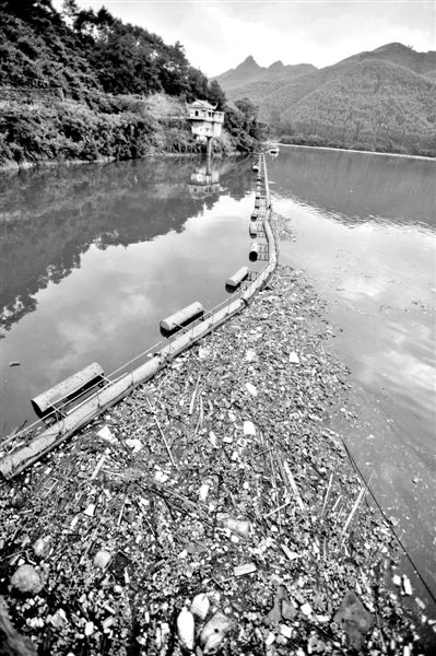 7月7日，廣西賀州市賀江合面獅段被污染的水域。據(jù)新華社