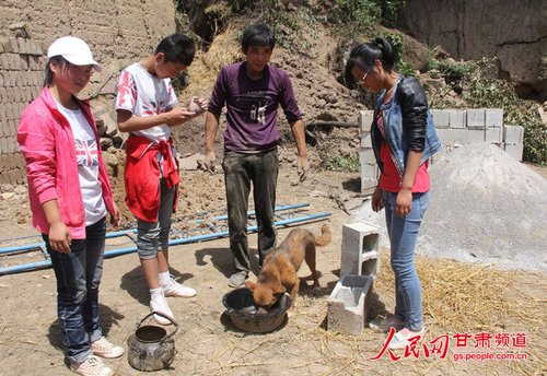 渴壞了的小黃狗在喝水。王生元/攝