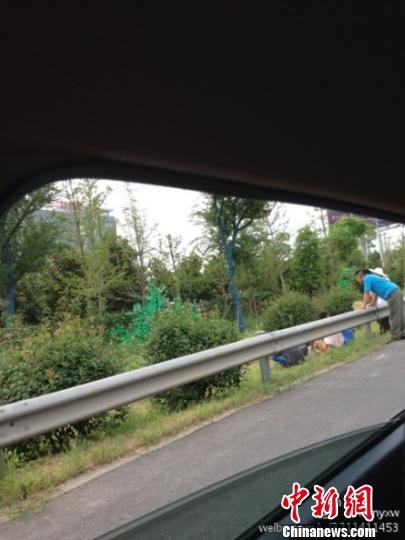 網(wǎng)友質(zhì)疑南京南站輔道種假樹(shù) 市委書記當(dāng)晚批示徹查