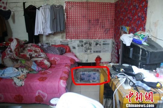 圖上紅圈內(nèi)為嫌犯所挖地窖入口。 吳佳蔚 攝