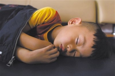 9月6日，等待錄制節(jié)目的多多躺在沙發(fā)上熟睡。新京報記者 侯少卿 攝