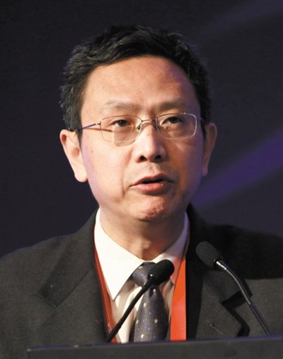 財(cái)政部財(cái)政科學(xué)研究所所長賈康。圖/CFP