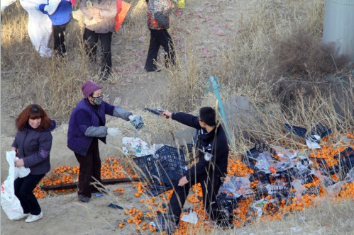 蘭州貨車側(cè)翻橘子遭百余村民哄搶，警察拔槍制止