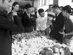 前段時(shí)間，夫子廟古玩城舉行的一場(chǎng)賭石活動(dòng)，吸引了不少人參與