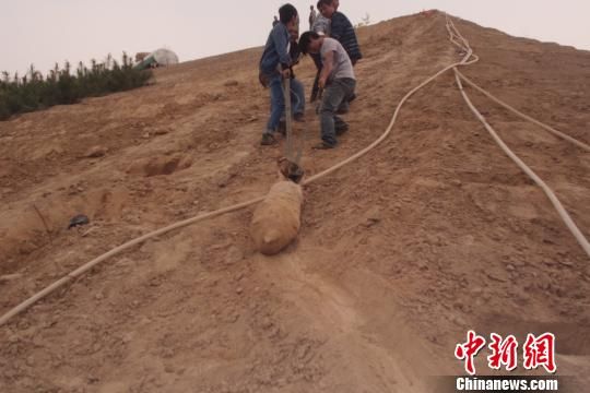 　4月27日上午，當?shù)卮迕裨诠系販洗逡痪G化處挖出一枚長1米，重200斤的炸彈，5月10日，這枚炸彈已