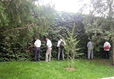 頤和園綠地內(nèi)數(shù)十游客小便引外國(guó)游客拍照 頤和園綠地內(nèi)數(shù)十游客小便引外國(guó)游客拍照