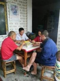 掃水掃不及，胥家鎮(zhèn)柏河村的居民干脆打起了麻將。