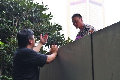 黃主任站在獨(dú)木樁上與男子交談了近半小時。