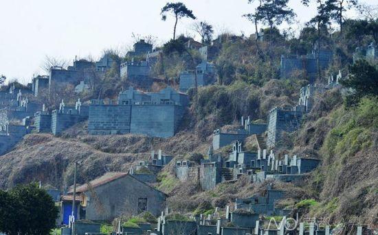 浙江紹興墓群為復綠遭刷綠漆 當?shù)胤Q因難種樹