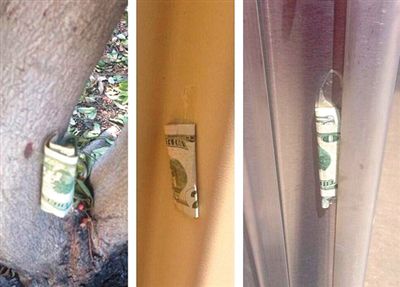 “隱藏的鈔票”會(huì)被神秘人藏在公園、廁所等“奇怪的地方”。