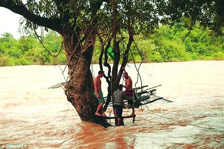 蓋屋、種菜，“從沒這樣快樂”