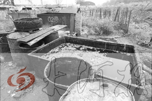 　　骯臟、令人作嘔的油桶凌亂地?cái)[放在院子里，為了避免視覺(jué)刺激，我們把它做成了黑白圖片。