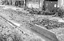 雨水先積在這個溝內(nèi) 雨水先積在這個溝內(nèi)