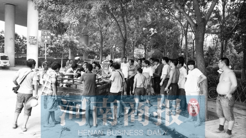 北環(huán)南陽路立交橋下，瓜農(nóng)小秦被打后，附近瓜農(nóng)紛紛圍了上來