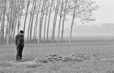 11月21日，高松中站在腦癱雙胞胎兒子墳前。