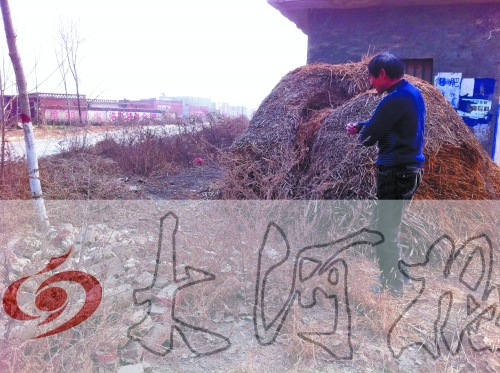 張哥、張弟就是在這兒撿到的投毒面包。