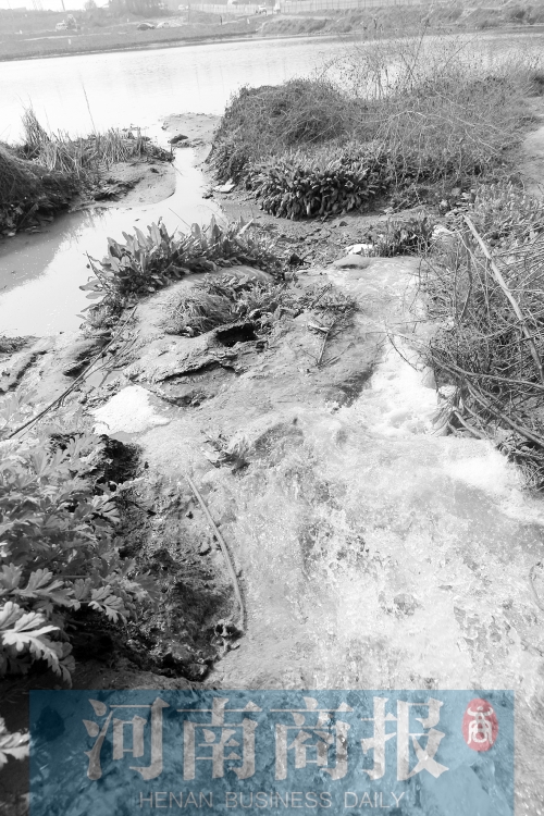 污水排放量較以前增加了不少 鄧萬里/攝 污水排放量較以前增加了不少 鄧萬里/攝